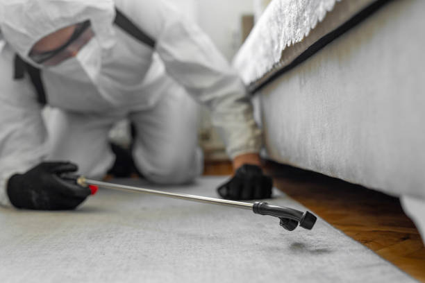 Professional Termite Control technician working in Halsey, OR