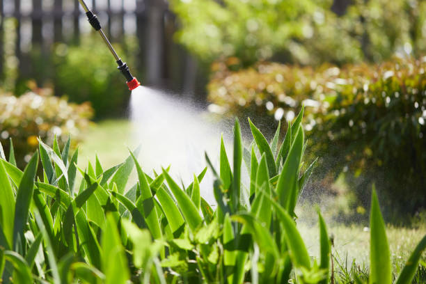 24/7 Emergency Termite Control experts in Halsey, OR